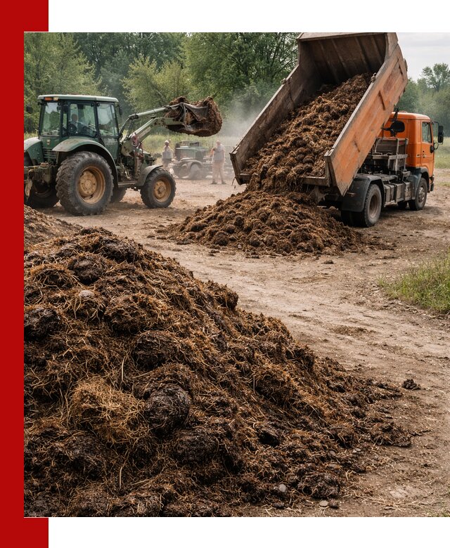 Доставка навоза самосвалами в Кизляре для сельхозпотребностей